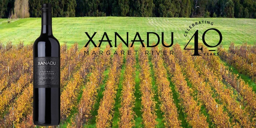 Xanadu Sauvignon 2016 Wine Buy of the Day